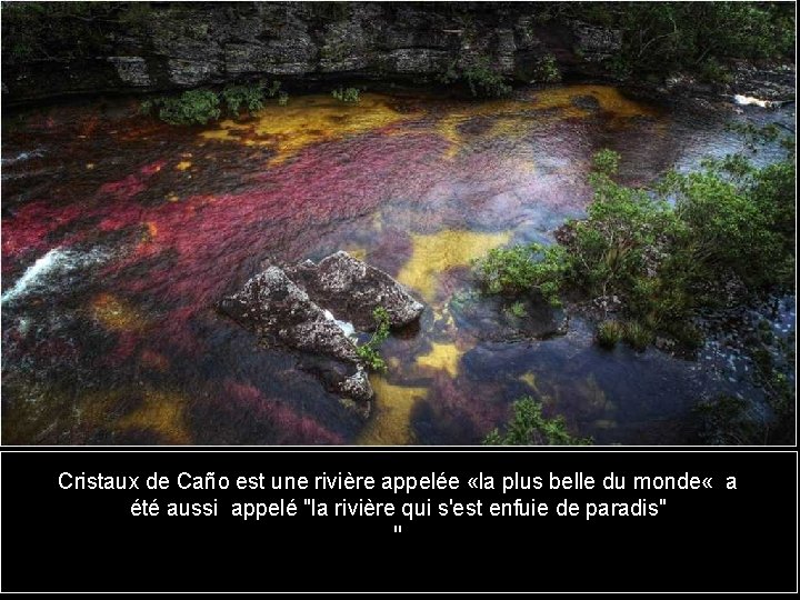 Cristaux de Caño est une rivière appelée «la plus belle du monde « a