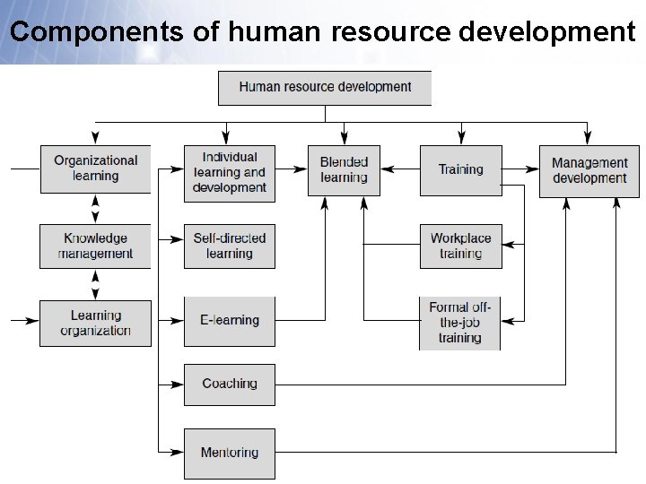 Components of human resource development 