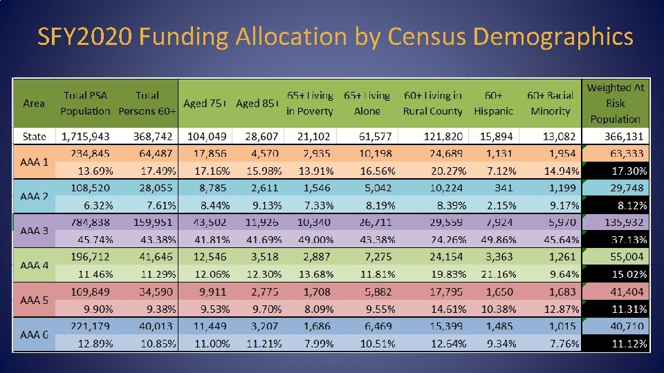 SFY 2020 Funding Allocation by Census Demographics 