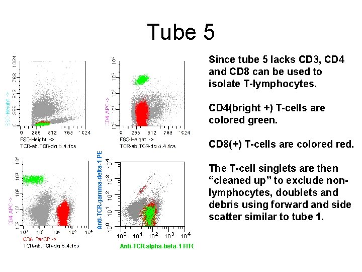 Tube 5 Since tube 5 lacks CD 3, CD 4 and CD 8 can