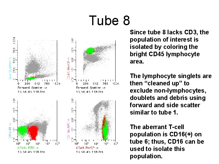 Tube 8 Since tube 8 lacks CD 3, the population of interest is isolated