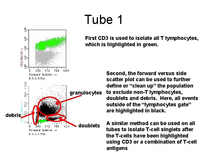 Tube 1 First CD 3 is used to isolate all T lymphocytes, which is