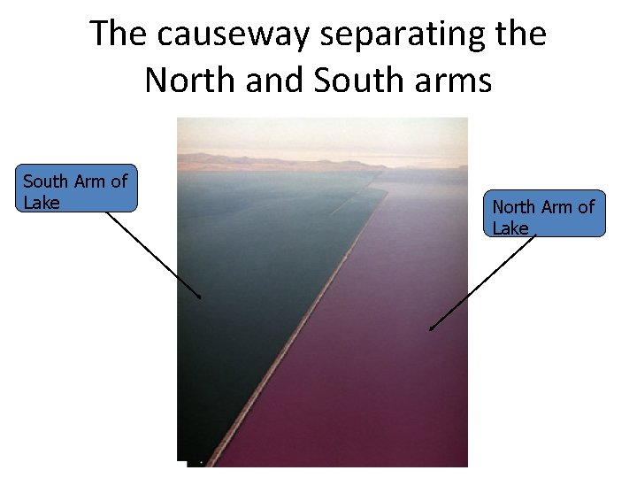 The causeway separating the North and South arms South Arm of Lake North Arm