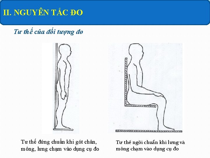 II. NGUYÊN TẮC ĐO Tư thế của đối tượng đo Tư thế đứng chuẩn