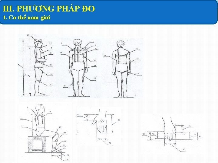 III. PHƯƠNG PHÁP ĐO 1. Cơ thể nam giới 