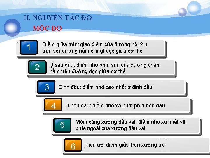 II. NGUYÊN TẮC ĐO MỐC ĐO Điểm giữa trán: giao điểm của đường nối II. NGUYÊN TẮC ĐO MỐC ĐO Điểm giữa trán: giao điểm của đường nối