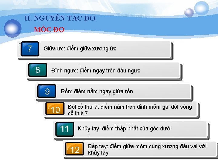 II. NGUYÊN TẮC ĐO MỐC ĐO 7 Giữa ức: điểm giữa xương ức 8