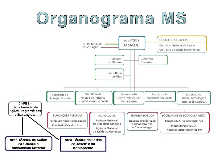 DAPES – Departamento de Ações Programáticas e Estratégicas Área Técnica de Saúde da Criança