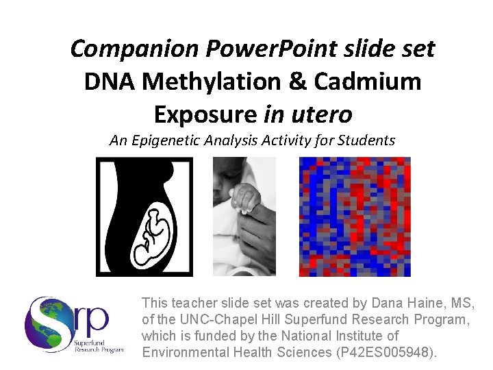 Companion Power. Point slide set DNA Methylation & Cadmium Exposure in utero An Epigenetic