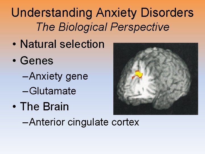 Understanding Anxiety Disorders The Biological Perspective • Natural selection • Genes – Anxiety gene
