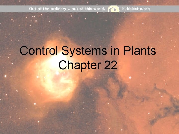 Control Systems in Plants Chapter 22 