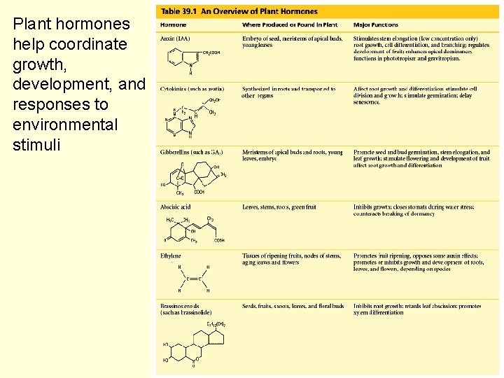 Plant hormones help coordinate growth, development, and responses to environmental stimuli 