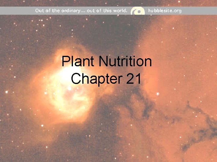 Plant Nutrition Chapter 21 
