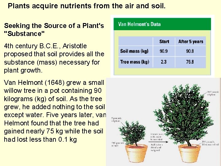 Plants acquire nutrients from the air and soil. Seeking the Source of a Plant's