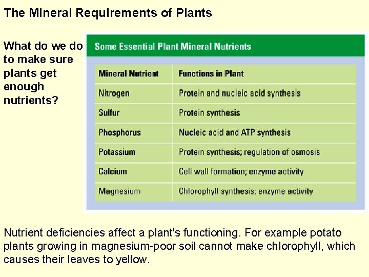 The Mineral Requirements of Plants What do we do to make sure plants get