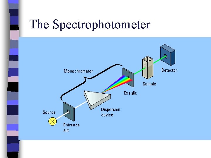 The Spectrophotometer 