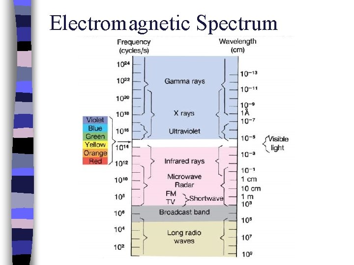 Electromagnetic Spectrum 