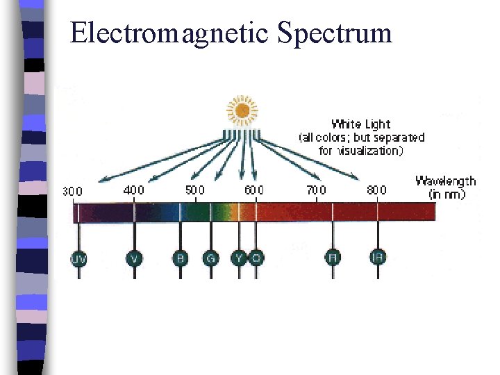 Electromagnetic Spectrum 