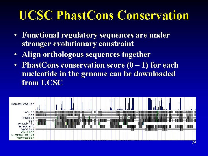 UCSC Phast. Conservation • Functional regulatory sequences are under stronger evolutionary constraint • Align UCSC Phast. Conservation • Functional regulatory sequences are under stronger evolutionary constraint • Align