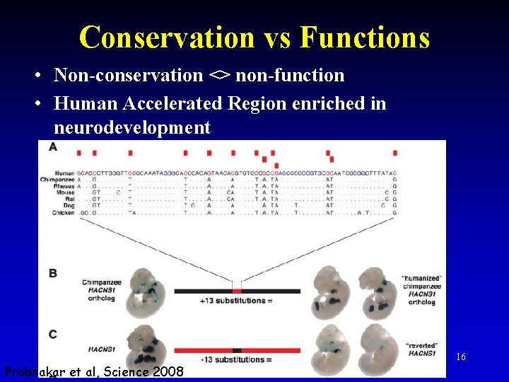 Conservation vs Functions • Non-conservation <> non-function • Human Accelerated Region enriched in neurodevelopment Conservation vs Functions • Non-conservation <> non-function • Human Accelerated Region enriched in neurodevelopment