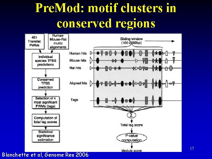 Pre. Mod: motif clusters in conserved regions Blanchette et al, Genome Res 2006 17 Pre. Mod: motif clusters in conserved regions Blanchette et al, Genome Res 2006 17