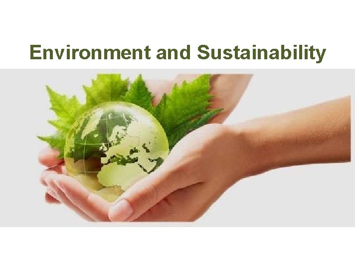 Environment and Sustainability 