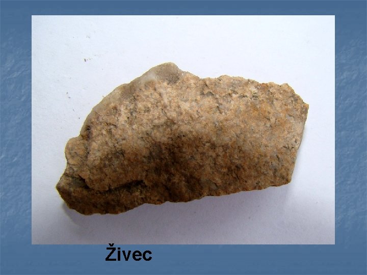 Živec 