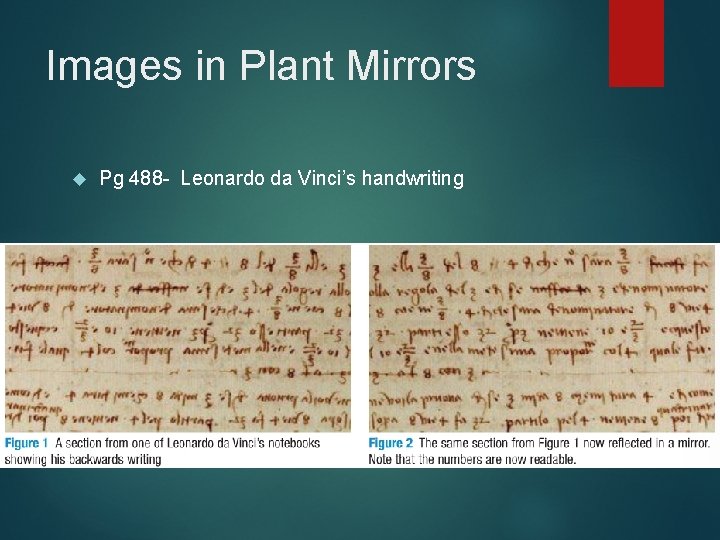 Images in Plant Mirrors Pg 488 - Leonardo da Vinci’s handwriting 