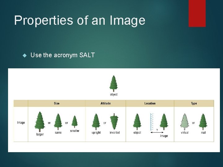 Properties of an Image Use the acronym SALT 