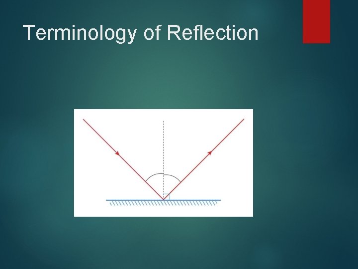 Terminology of Reflection 