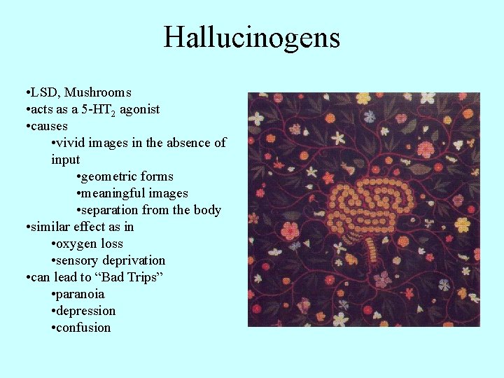 Hallucinogens • LSD, Mushrooms • acts as a 5 -HT 2 agonist • causes