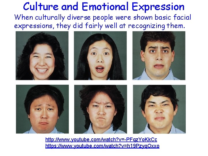 Culture and Emotional Expression When culturally diverse people were shown basic facial expressions, they