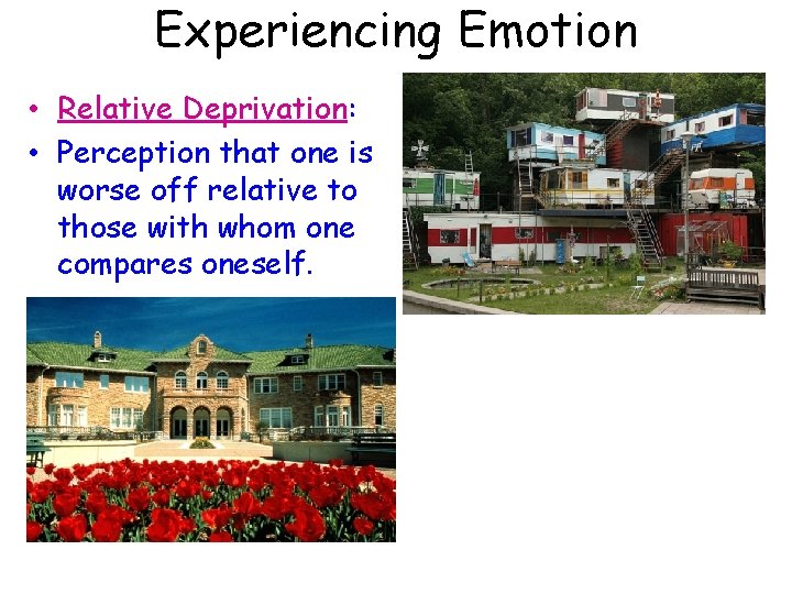 Experiencing Emotion • Relative Deprivation: • Perception that one is worse off relative to