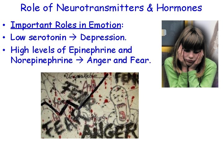 Role of Neurotransmitters & Hormones • Important Roles in Emotion: • Low serotonin Depression.