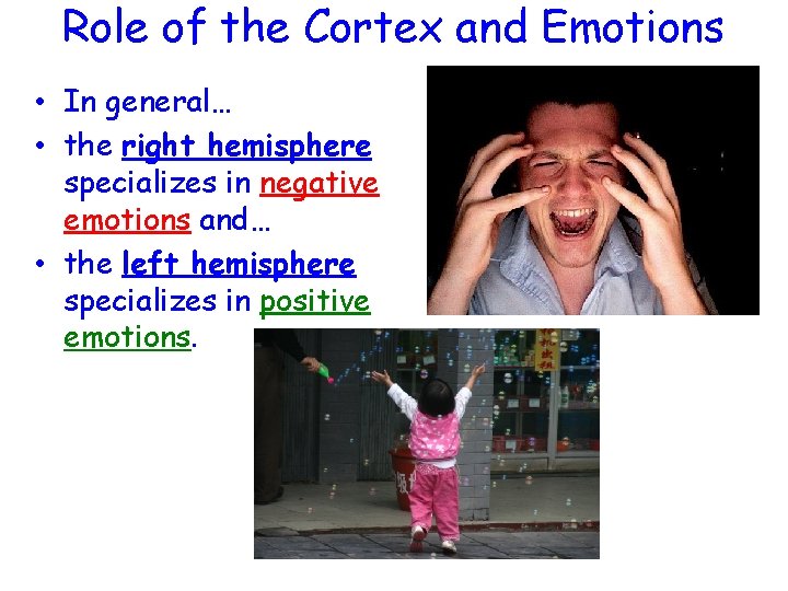 Role of the Cortex and Emotions • In general… • the right hemisphere specializes