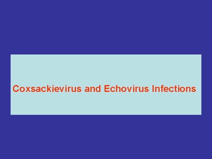 Coxsackievirus and Echovirus Infections 