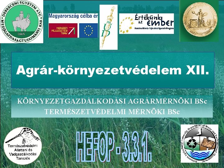 Agrár-környezetvédelem XII. KÖRNYEZETGAZDÁLKODÁSI AGRÁRMÉRNÖKI BSc TERMÉSZETVÉDELMI MÉRNÖKI BSc 