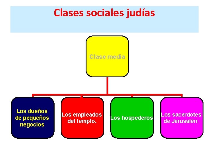 Clases sociales judías Clase media Los dueños de pequeños negocios Los empleados del templo.