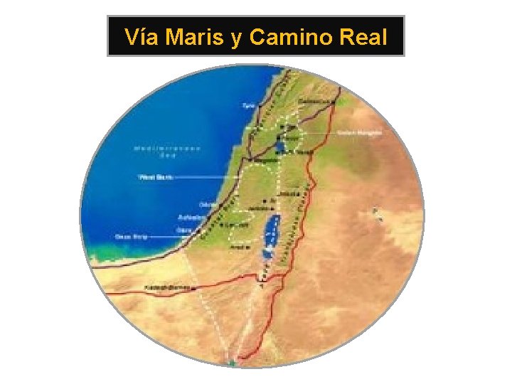 Vía Maris y Camino Real 