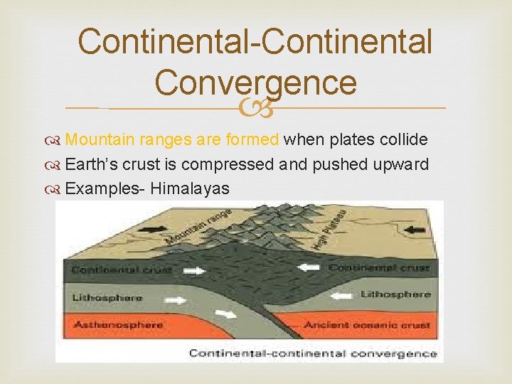 Continental-Continental Convergence Mountain ranges are formed when plates collide Earth’s crust is compressed and