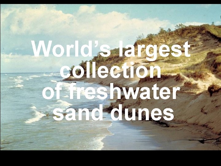 World’s largest collection of freshwater sand dunes 