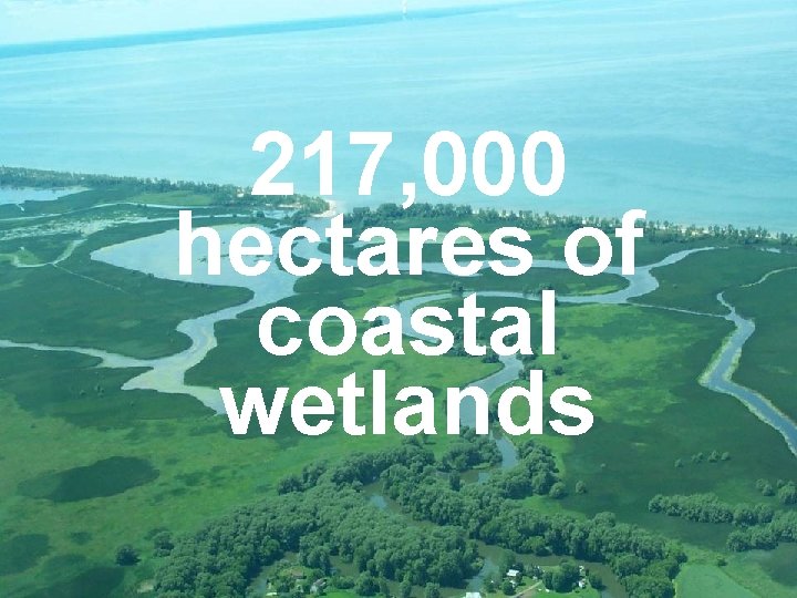 217, 000 hectares of coastal wetlands 