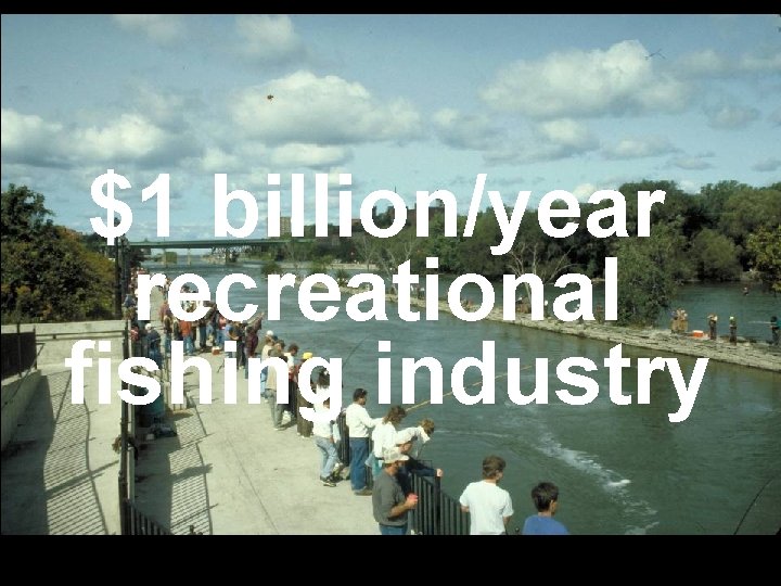 $1 billion/year recreational fishing industry 