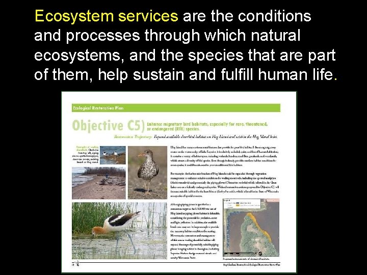 Ecosystem services are the conditions and processes through which natural ecosystems, and the species