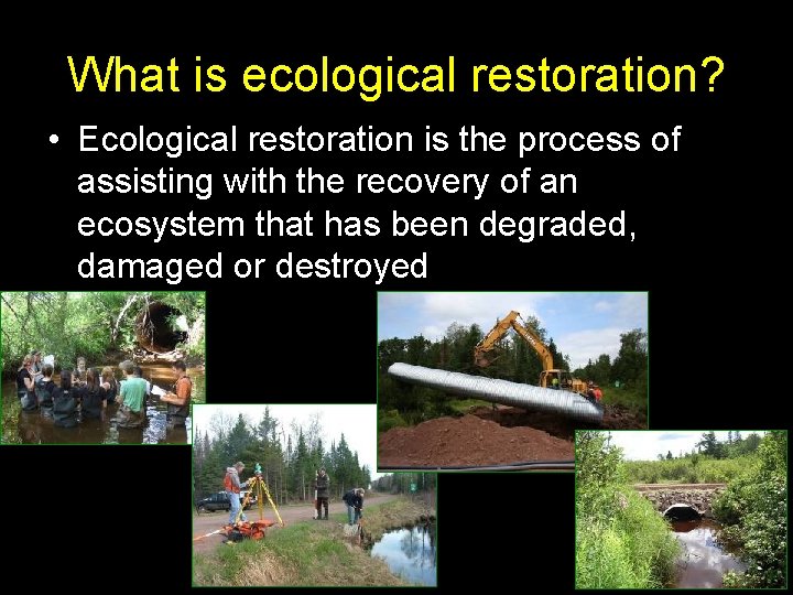 What is ecological restoration? • Ecological restoration is the process of assisting with the