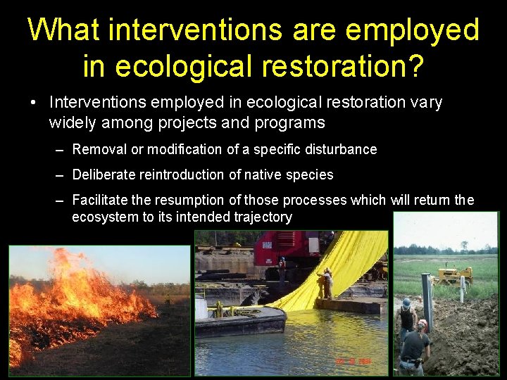 What interventions are employed in ecological restoration? • Interventions employed in ecological restoration vary