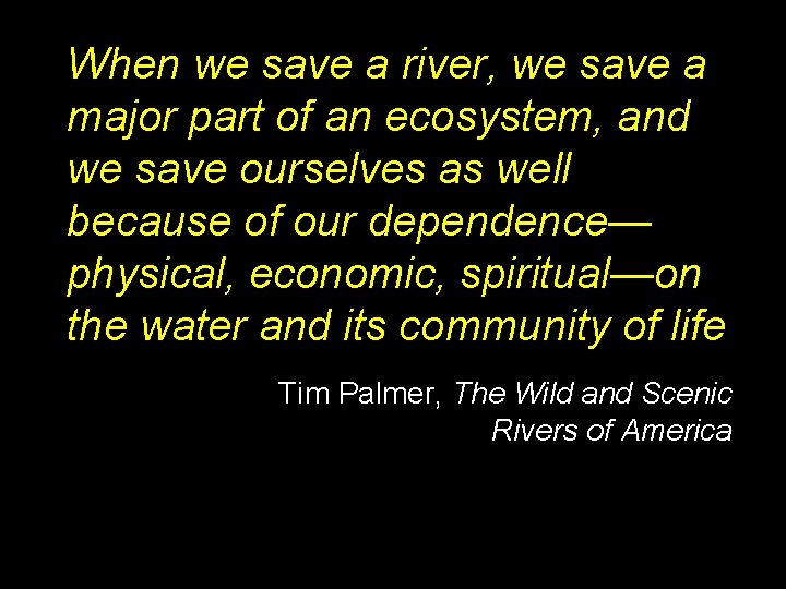 When we save a river, we save a major part of an ecosystem, and