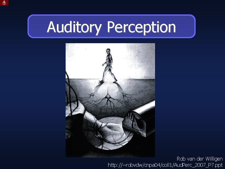 Auditory Perception Rob van der Willigen http: //~robvdw/cnpa 04/coll 1/Aud. Perc_2007_P 7. ppt 