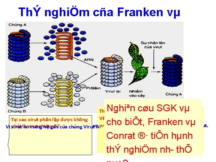 ThÝ nghiÖm cña Franken vµ Conrat Nghiªn cøu SGK vµ cho biÕt, Franken vµ