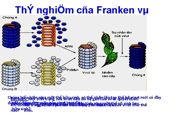 ThÝ nghiÖm cña Franken vµ Conrat Chúng biểu. Mọi hiệntính nhưtrạng một thể có